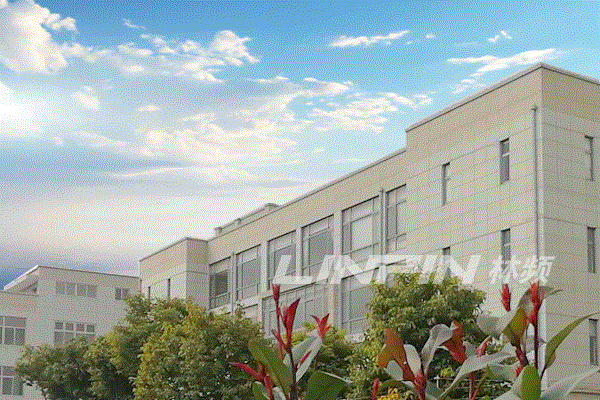 網(wǎng)站建設解決方案